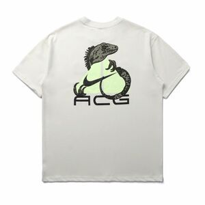 NIKE ACG DRI-FIT IGUANA DRI-FIT PHANTOM T-SHIRT TSHIRT TEE HJ0884-030 X-Large